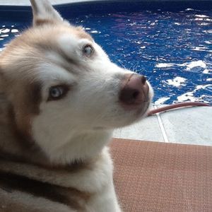 Meet your Posher, Holly